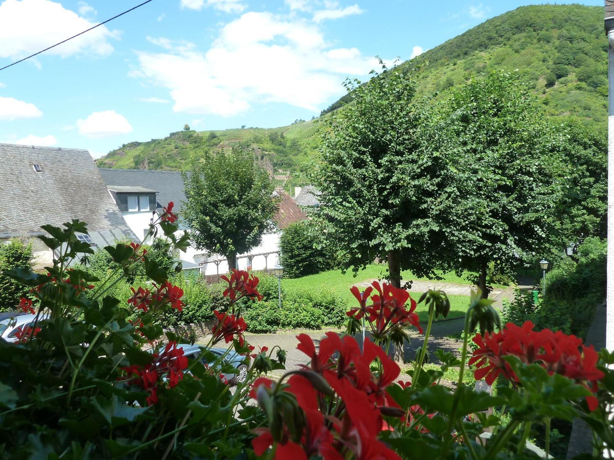 Bed and Breakfast Alte Weinstuben Steinfelder Hof Garni Ellenz-Poltersdorf Exterior foto